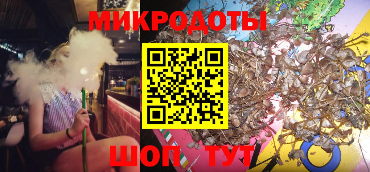 Галлюциногенные грибы Magic Shrooms  Вход с VPN  Галлюциногенные грибы Psilocybine cubensis  Сочи 