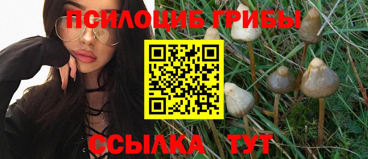 Псилоцибиновые грибы Psilocybine cubensis Сочи